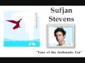 Year of the Asthmatic Cat - Sufjan Stevens