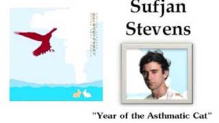 Year of the Asthmatic Cat - Sufjan Stevens