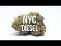 NYC Diesel Strain Review