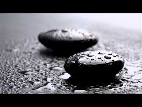 Einer dieser Steine  Sido feat. Westernhagen Live in Berlin