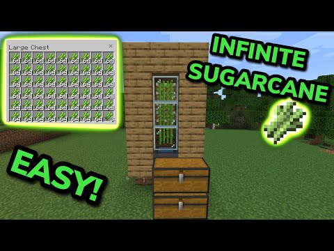 EASY 1.20 FAST AUTOMATIC SUGARCANE FARM TUTORIAL in Minecraft Bedrock (MCPE/Xbox/PS4/Switch/PC)