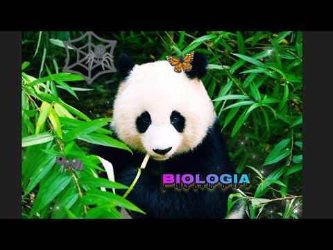 Klasa 5 Biologia 1.1 cz1 Biologia jako nauka, cechy organizmów