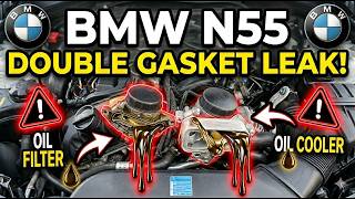 N55 Owners Must Watch This Before Replacing Their Oil Filter Housing Gasket