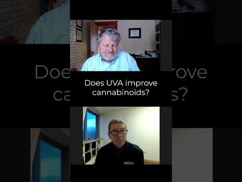 Does UVA increase cannabinoids?