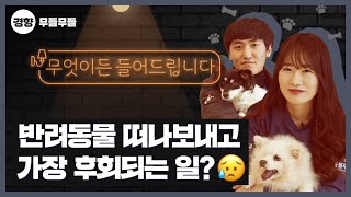 ¹Ý·Áµ¿¹° ¶°³ªº¸³½ ½½ÇÄ, À̰ܳ¾ ¼ö ÀÖÀ»±î¿ä?