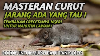 Download lagu PALING DI CARI MASTERAN MURAI BATU | MASTERAN LEGEND | MATERI TEMBAKAN SUARA CURUT NYERECET PANJANG mp3