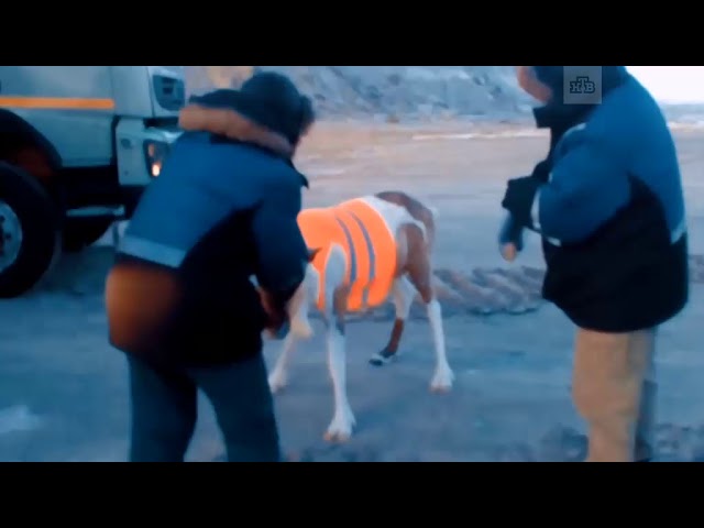 Как развлекаются ямальские вахтовики