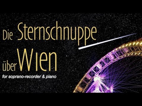 Die Sternschnuppe über Wien
