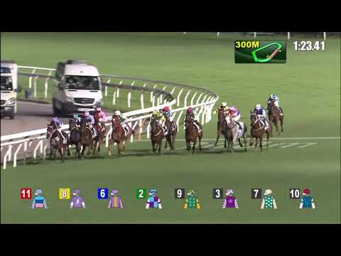 2/6/2021 (727) Gallant Crown - Matthew Poon