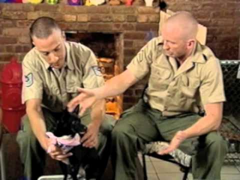 Dick and Duane™ on Up All Night: "Pet Therapy"