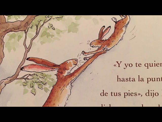Vídeo relacionado con Adivina cuánto te quiero. Veo veo... (INFANTIL JUVENIL)