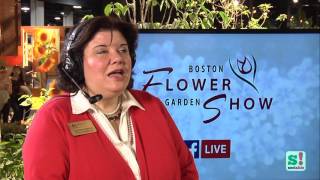 Carolyn Weston, Boston Flower &amp; Garden Show Director