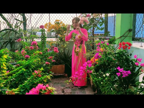 Áo dài truyền thống l Hoa giấy ngày Tết l Happy New Year.