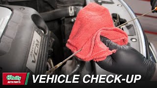 How To: Perform a Vehicle Check-Up