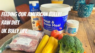 AMERICAN BULLY XL/STANDARD/POCKET/MICRO RAW DIET - UK BULLY LIFE