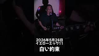 2026年5月24日PALLASROSE恒例イベント「イエローエッグ11」白い約束