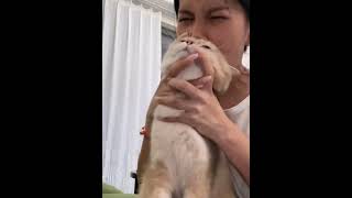 #kitty_s10 #kitty #tiktok