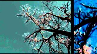 Eels - Blinking Lights (For Me)