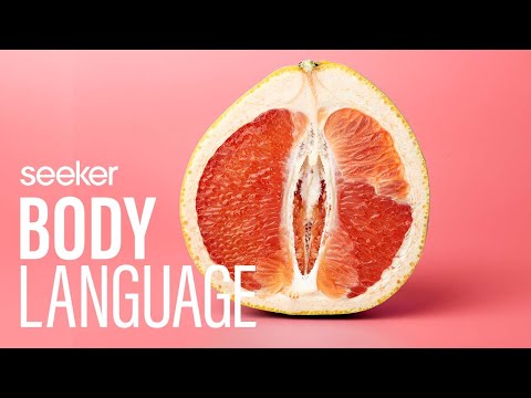 The Vulva, Vagina, and Clit, Oh My!