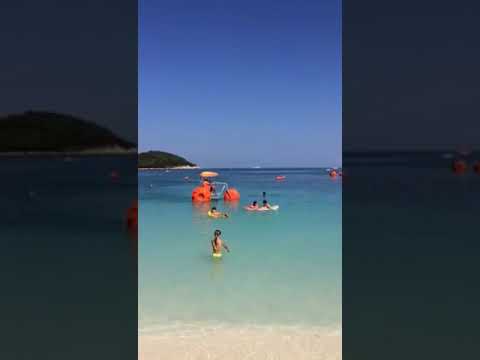 2018 vera shum e Nxet