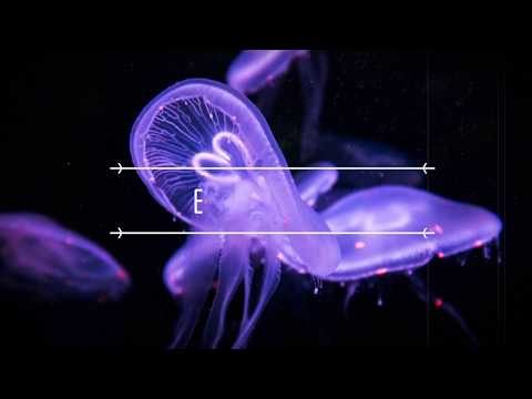 Mak E Voolk - Don't Play With Fire (Original Mix)