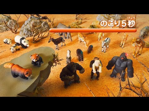 アニアクイズ　サバンナ