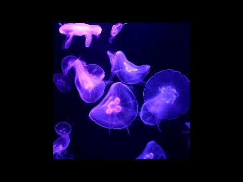 Lil Uzi Vert  x  LOVV66 x PINQ Type Beat