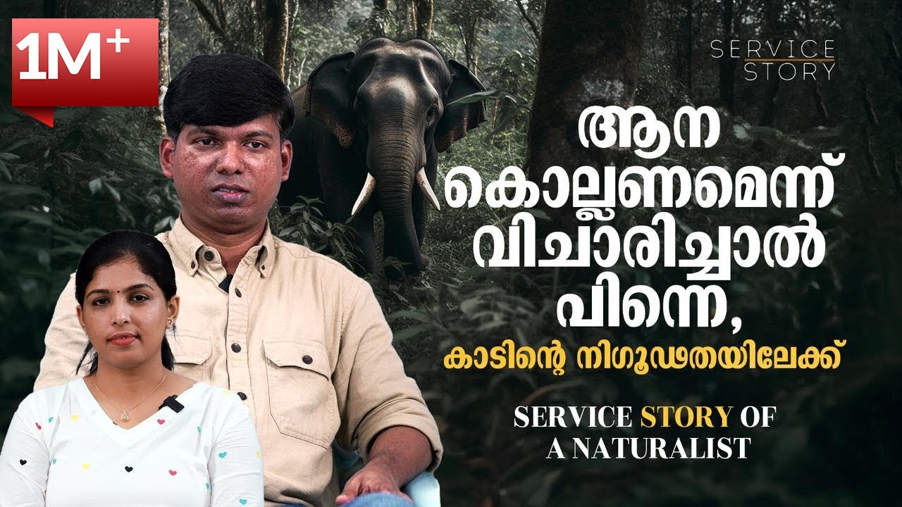 ആരാണ് കാട്ടിലെ ഏറ്റവും അക്രമകാരി, മുന്നിൽപെട്ടാൽ എങ്ങനെ രക്ഷപ്പെടാം I Service story of a Naturalist