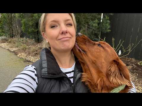 Starting at the Vet, 🦮 Ending in the Garden!