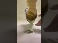 Wasting Of Nutella Oreo Chocolate Pringles Relaxing ASMR