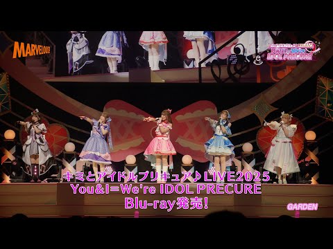 Kimi to Idol Precure♪ Kimi to Idol Precure♪ Light Up! Chihaya Yoshitake・Ami Ishii・Akane Kumada