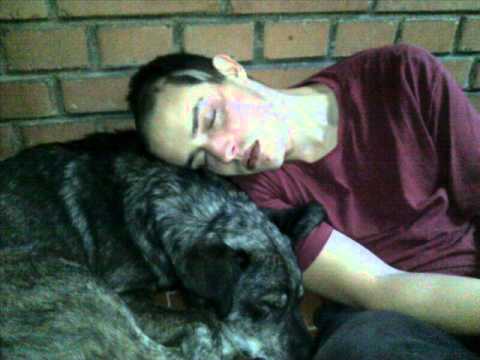 Glavata Majmuncina MC -  Essential Metals.exe