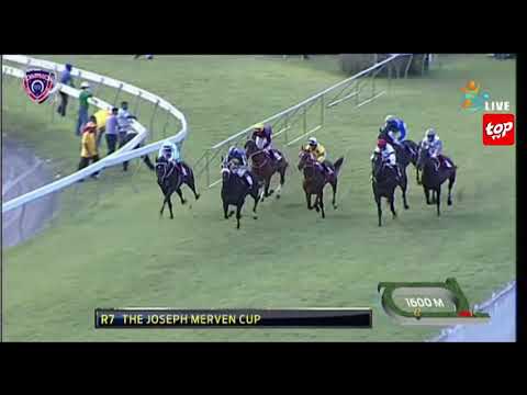 RM31 R7/ Haylor/ A.Roy