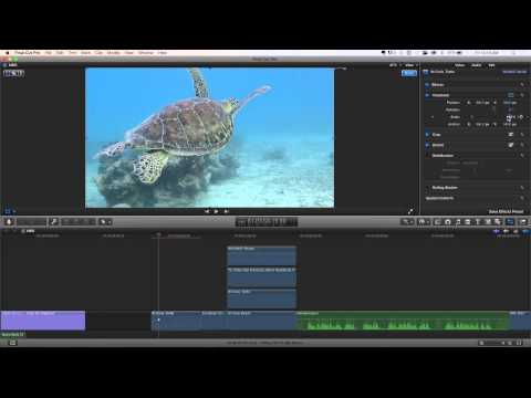 MacBreak Studio: Ep. 315 - Saving Transform Presets