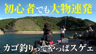 【カゴ釣り】この釣りは堤防から25cm越えのアジが簡単に狙えます