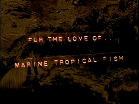 Jon Ronson's For The Love of Marine Tropical Fish