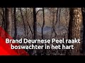 Brand in Deurnese Peel raakt boswachter Lieke