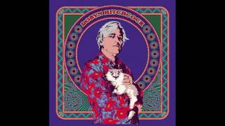 Robyn Hitchcock   Sayonora Judge