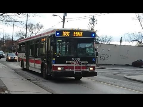 Rare Orion VII on 109 Ranee