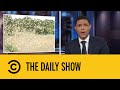 Locusts vs Corona | The Daily Show | 11 March 2020