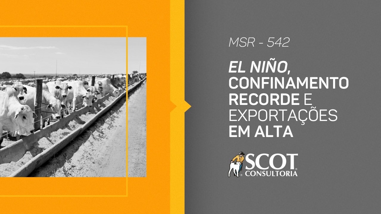 El Niño, confinamento recorde e exportações em alta | Mercado Sem Rodeios #542