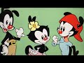 Animaniacs All Intro Gags 1993 2023