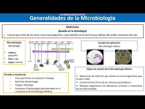 Generalidades de la Microbiología