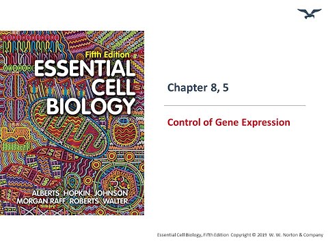Control of Gene Expression