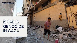 Video: Israel executed Genocide by targeting Children in Palestine, UN REPORT | TRT World