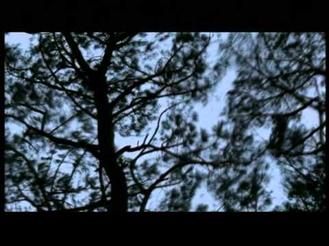 هاني متواسي - أحوالي ماتسرش | Hani Metwasi - Ahwaly Matsurish