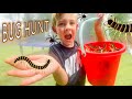 BUG HUNT for REAL BUGS!! Centipedes, SPIDERS, Earwig, TOAD, Hammerhead Worm and MORE FOR KIDS!!