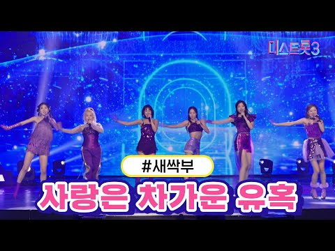 새싹부 - 사랑은 차가운 유혹(미스트롯3 240111 방송)