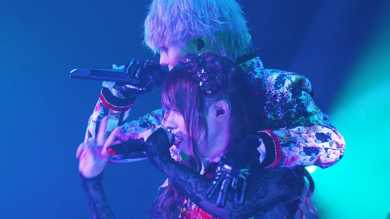 Royal Scandal「PLAY」Live Video【WONDER TOUR 2022 -RED & BLACK-】