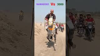 Download lagu NAWAB 302 vs 3000 full race chanel mai hai,,,, mp3